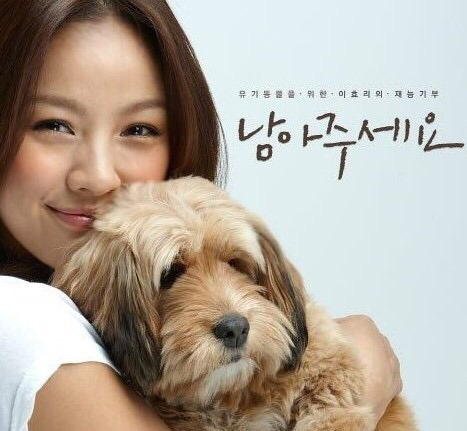 연예인들의 반려동물 | 인스티즈