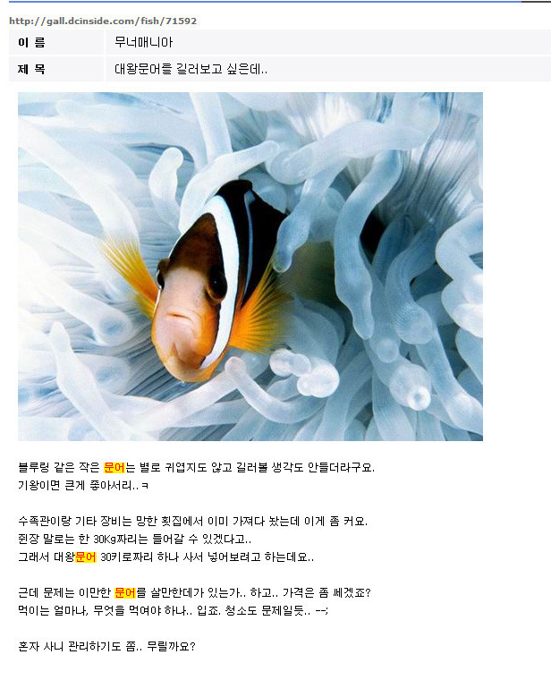 문어가 죽었슴다.. ; .jpg | 인스티즈