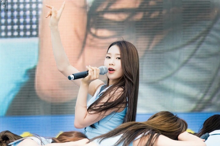 설레네 이미지