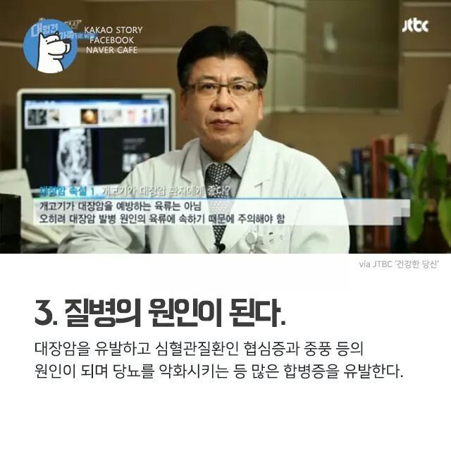 개고기를 먹지말아야 하는 설득력있는 이유 | 인스티즈