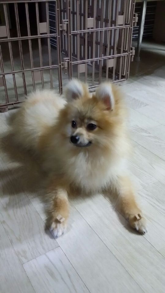 모아아토 이미지