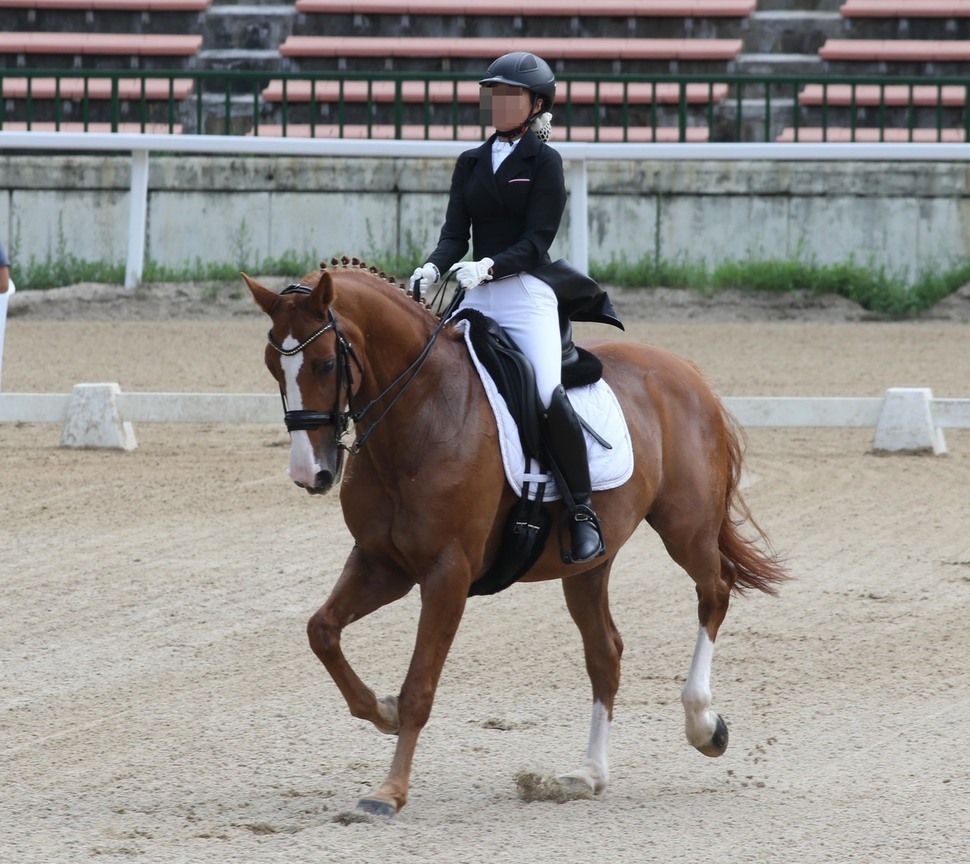  사진으로 보는 박근혜 탄핵 총정리 | 인스티즈