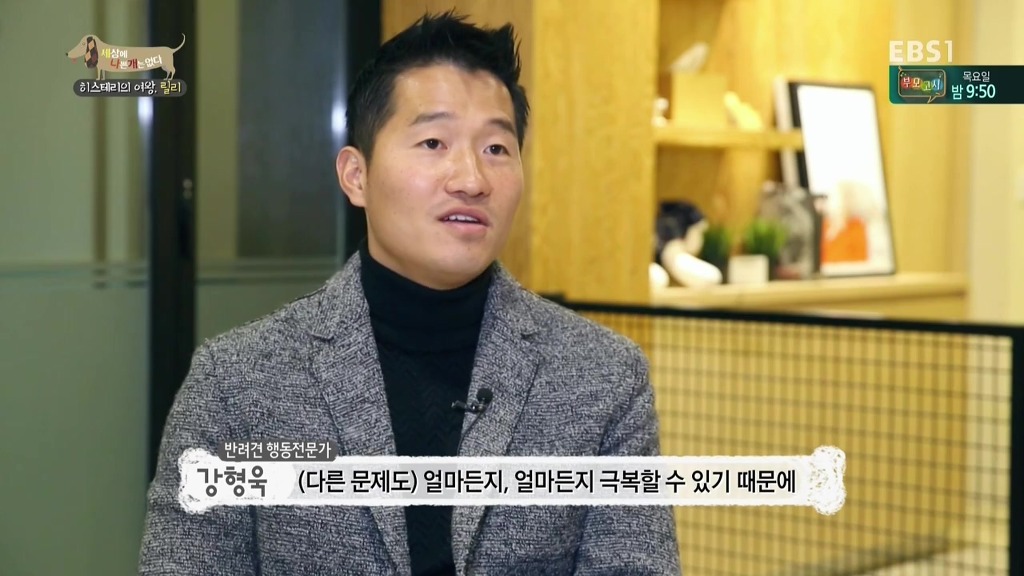 [세상에나쁜개는없다] 가족들에게 짖고 무는 강아지 릴리햏 | 인스티즈