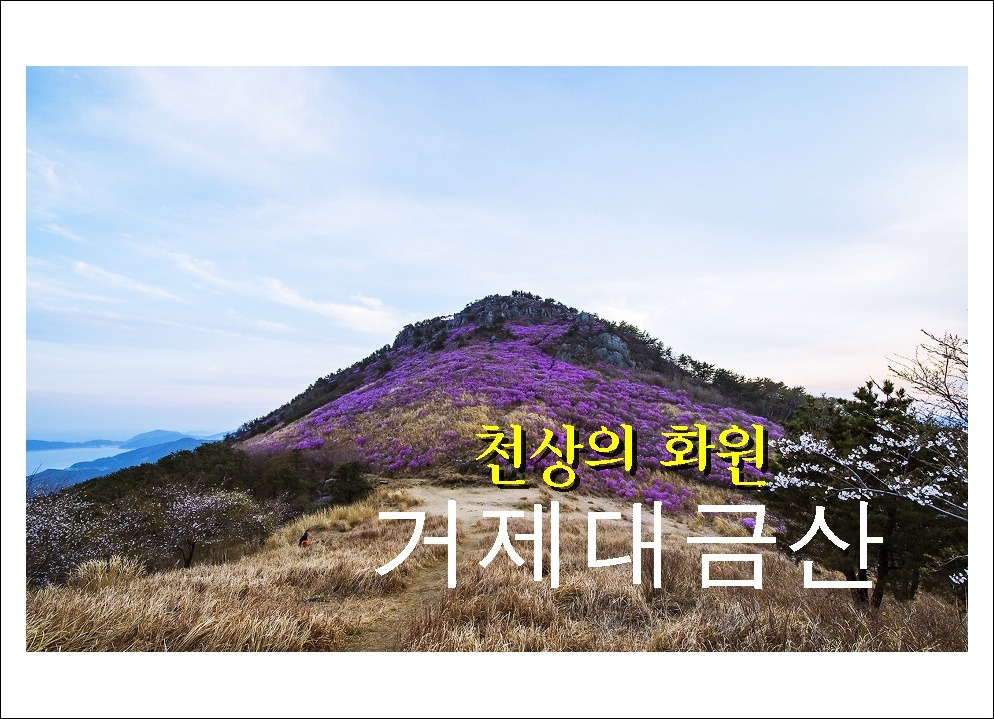대금산주유소 이미지