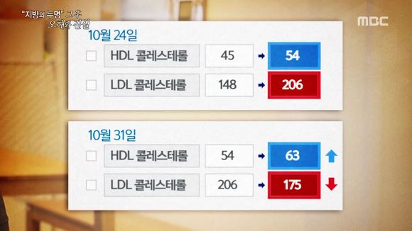 [다이어트] 고지방 저탄수화물식단 위험한 다이어트일까? | 인스티즈