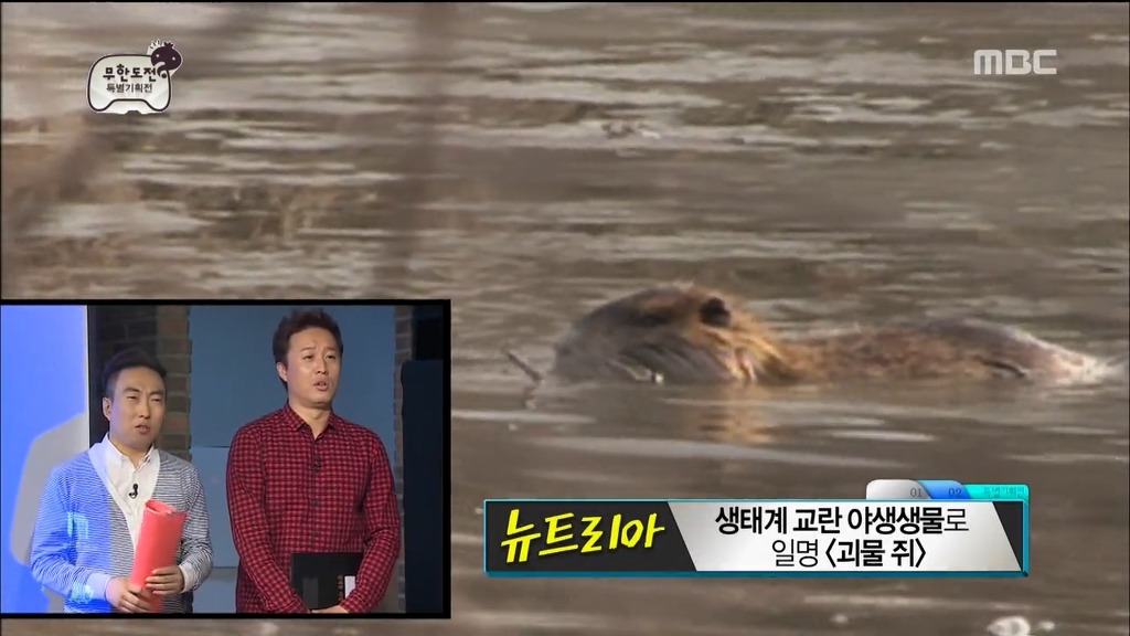 보고싶은 무한도전 특집.jpg | 인스티즈
