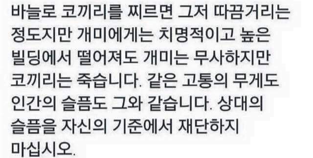무게로 이미지