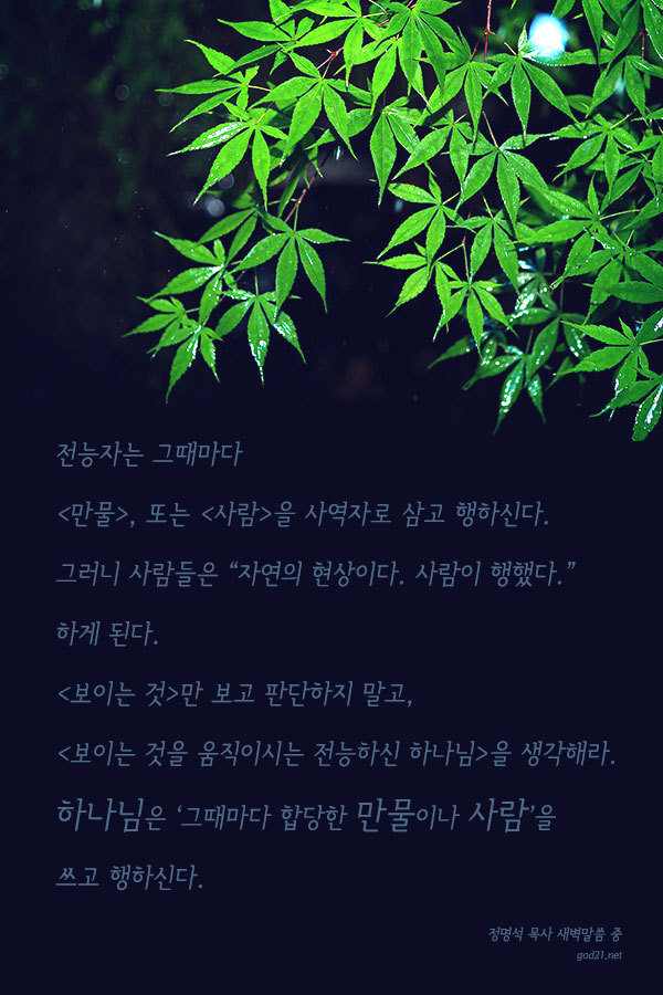 성삼이네 이미지
