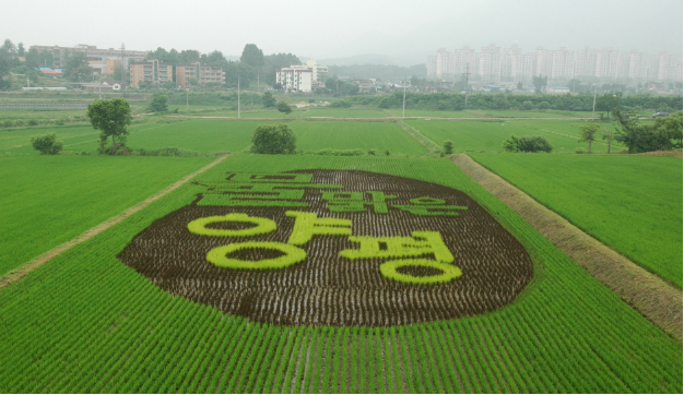 백양환경(주) 이미지