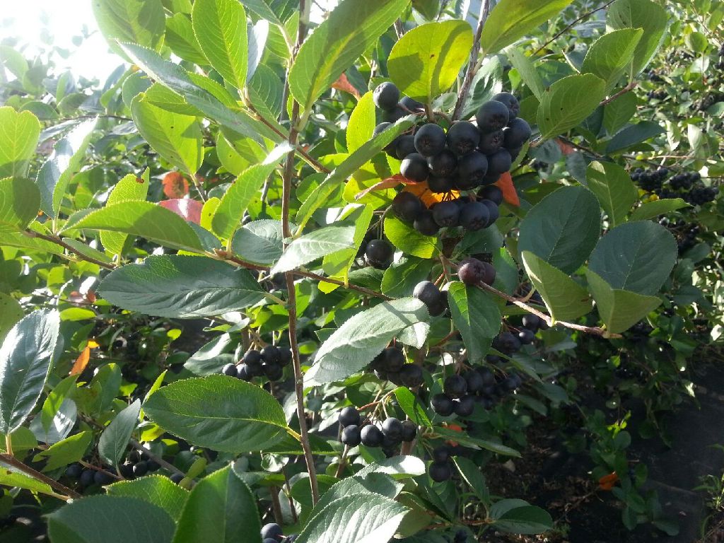별마실 이미지