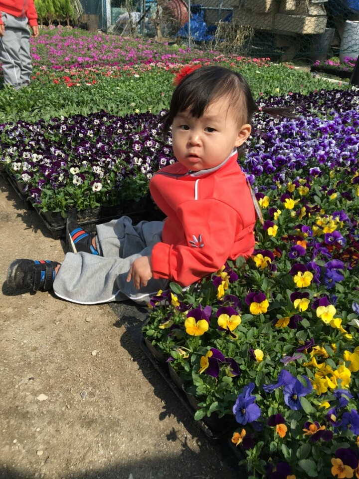 리첼키즈어린이집 이미지