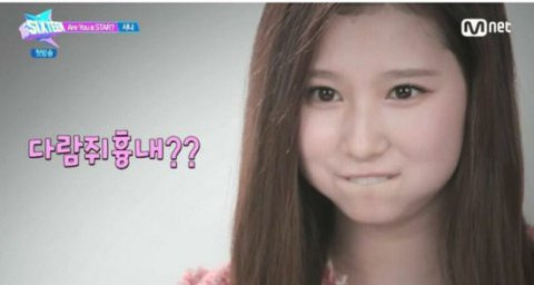 동물농장 트와이스 | 인스티즈