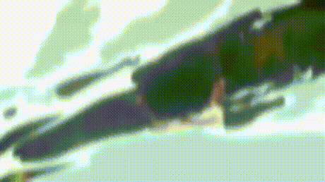 호사이어인.gif (소리) | 인스티즈