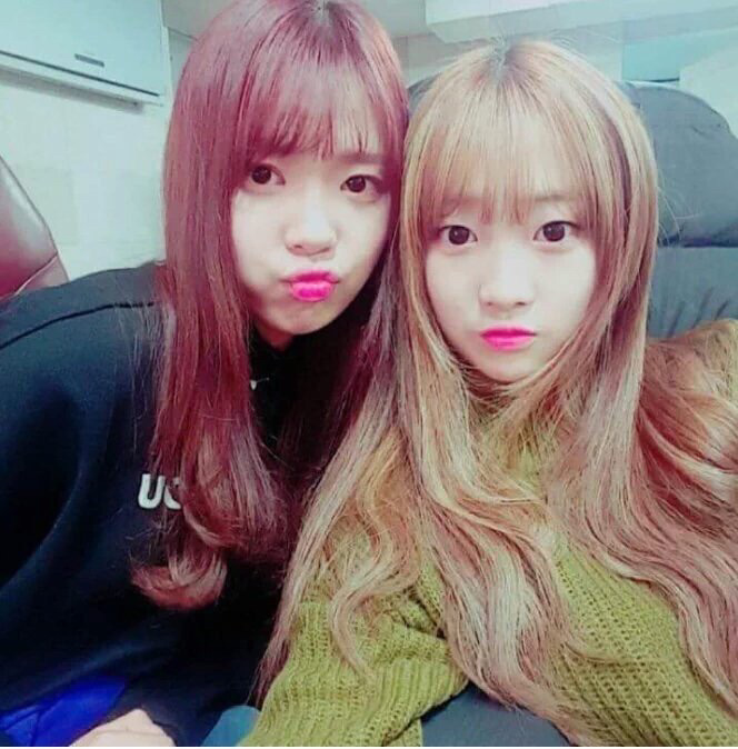 엠넷 프로듀스101 스타제국 소속 연습생 한혜리.jpggif | 인스티즈