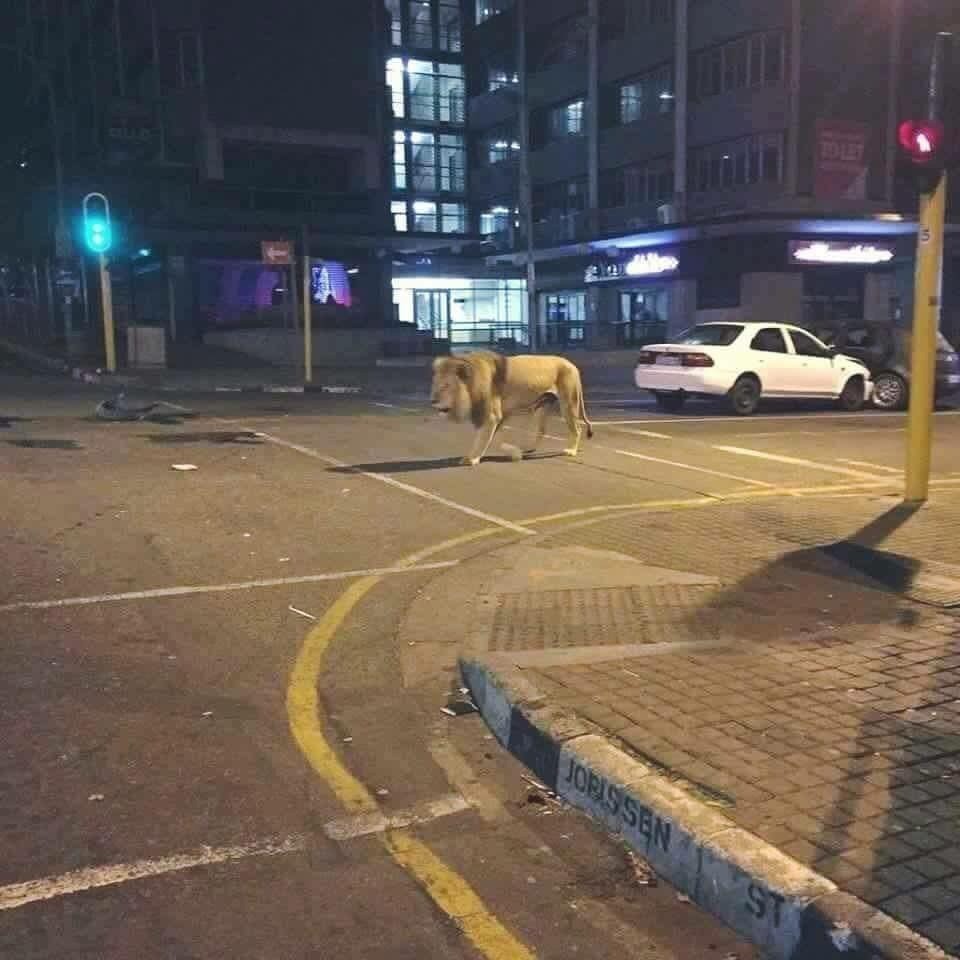 길고양이떔에 집밖을 못나가요...jpg | 인스티즈