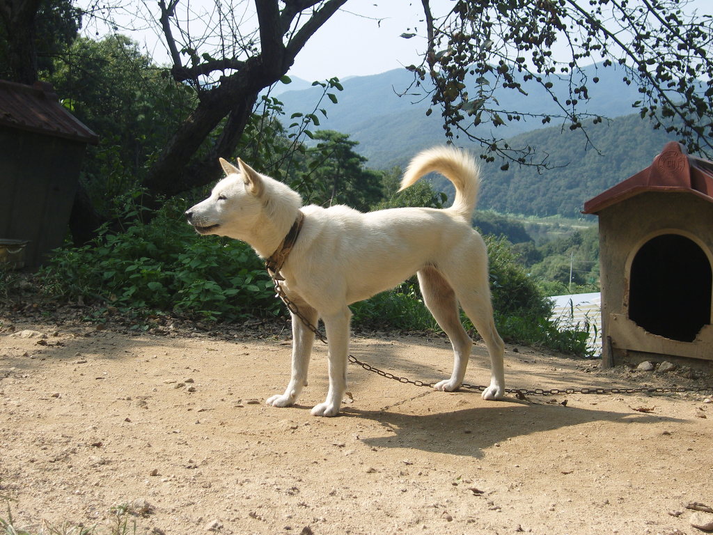 주변산 이미지