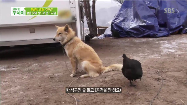 멍뭉이의 복수 | 인스티즈