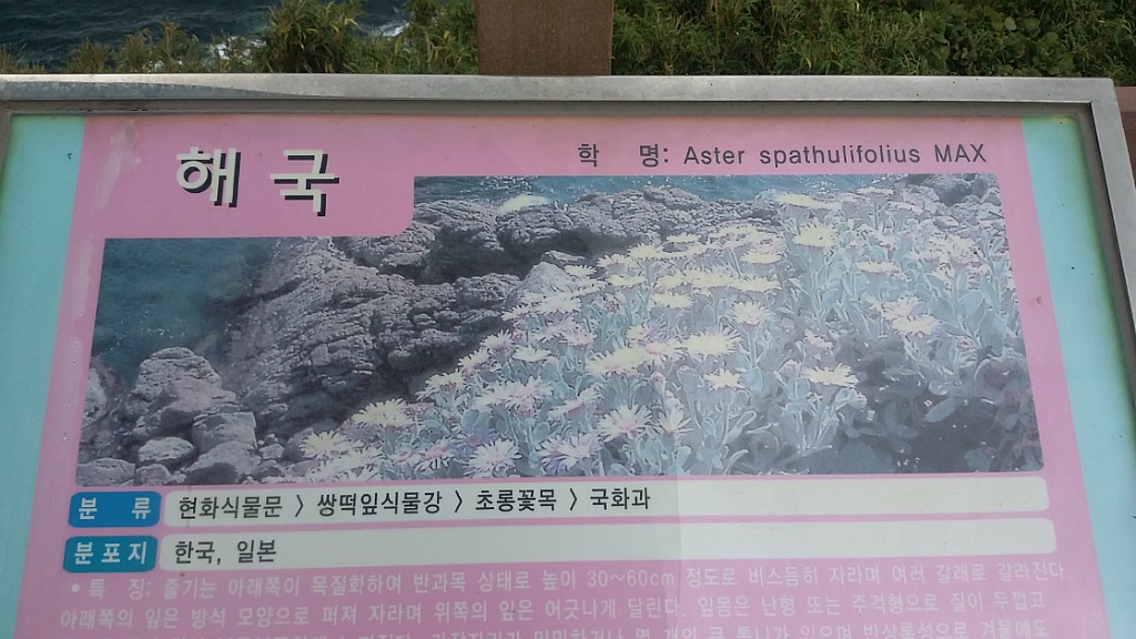 뜨란체 이미지