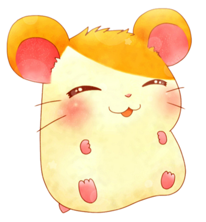 호도별 이미지
