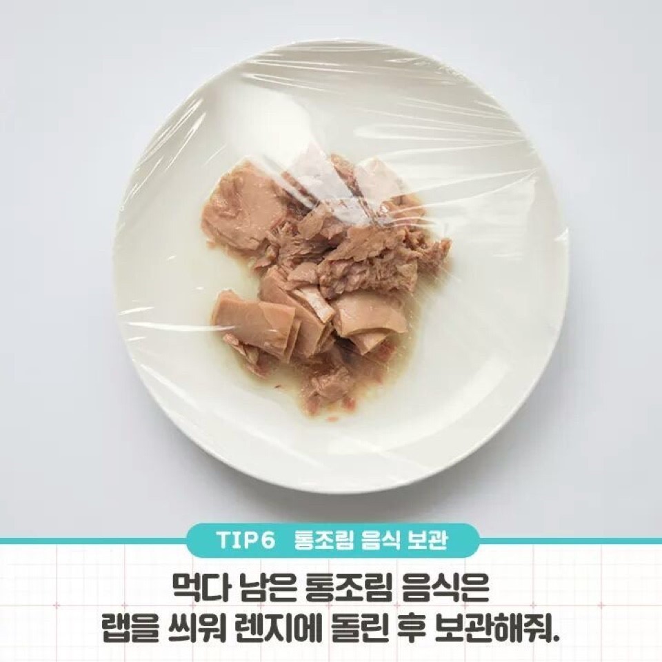이제는 다 아는 전자렌지 사용법 | 인스티즈