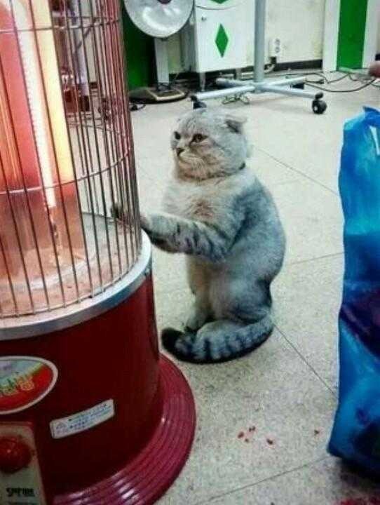 좋구만 이미지