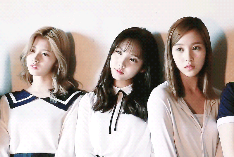 트와이스 케미 폭발.gif | 인스티즈