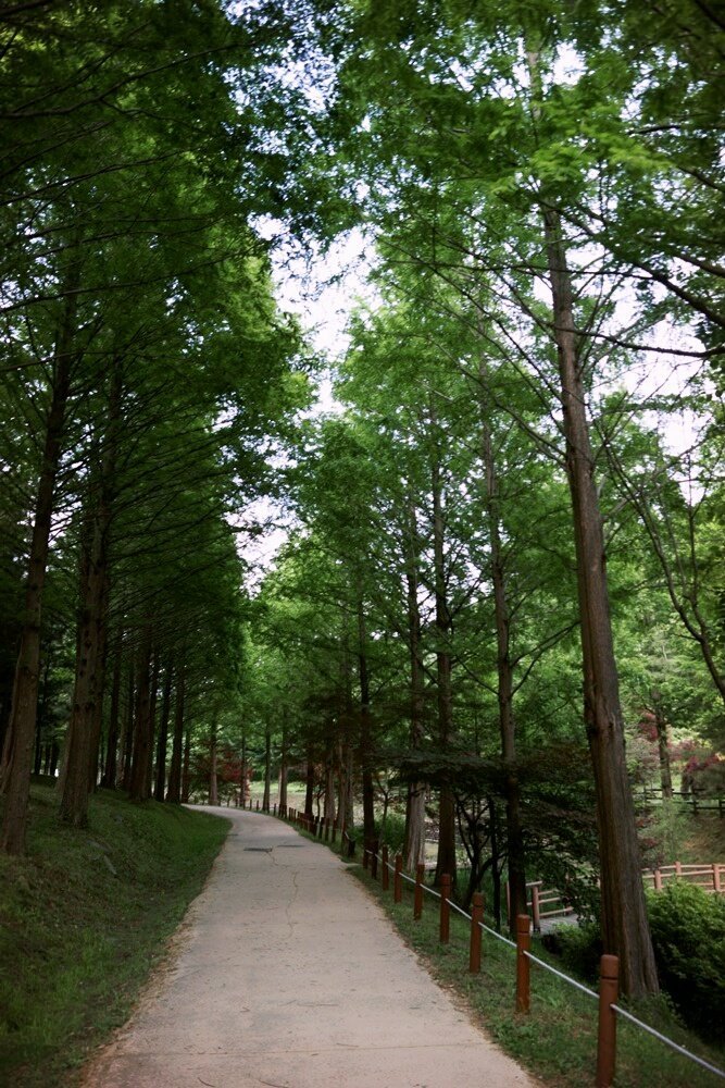 미동산수목원 이미지