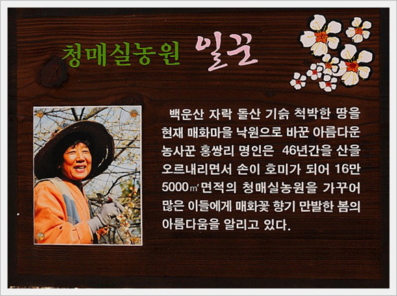 매화김밥 이미지