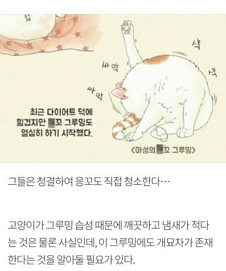 상상 속의 고양이 vs 실제 고양이 | 인스티즈