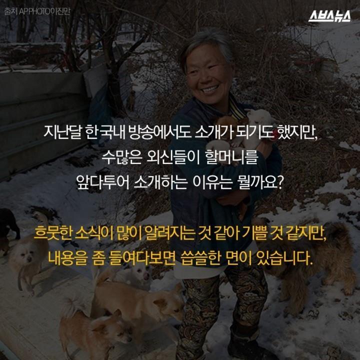  개 먹는 나라의 사연? | 인스티즈