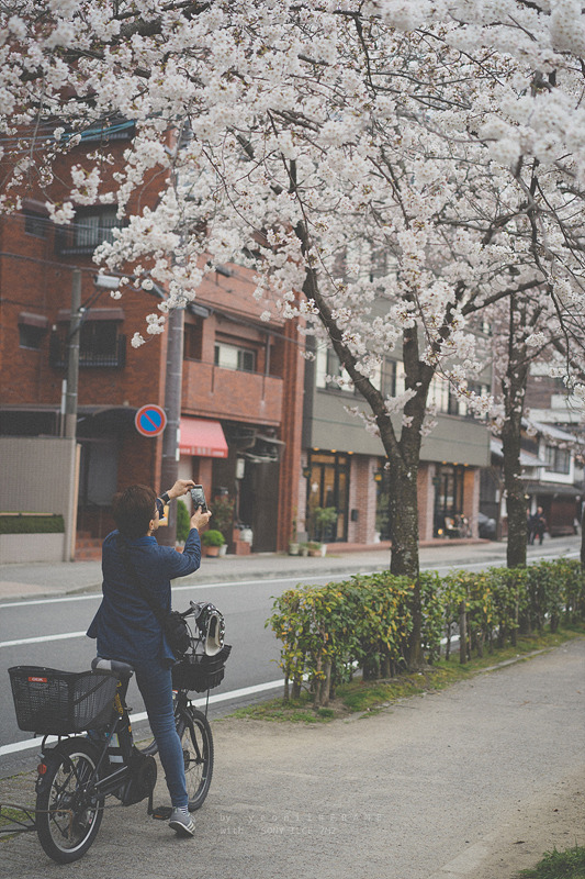 스냅사진 위주의 유치진지한 여행기 - 오사카&교토 (3) | 인스티즈