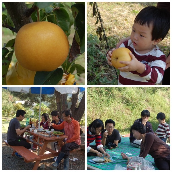 산들농원 이미지