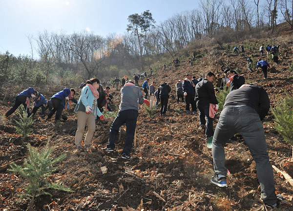 산림개발 이미지
