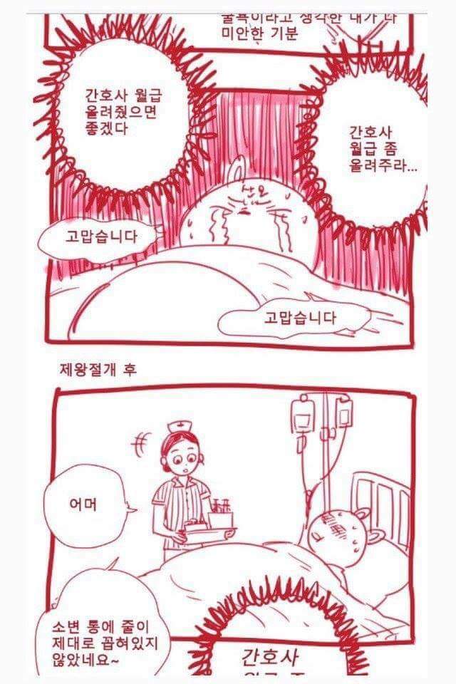 간호사들이 연봉 높은 이유가 무엇? | 인스티즈