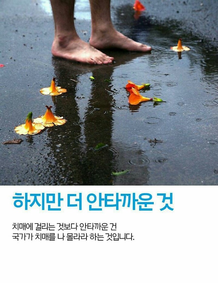 문재인의 치매국가책임제 | 인스티즈