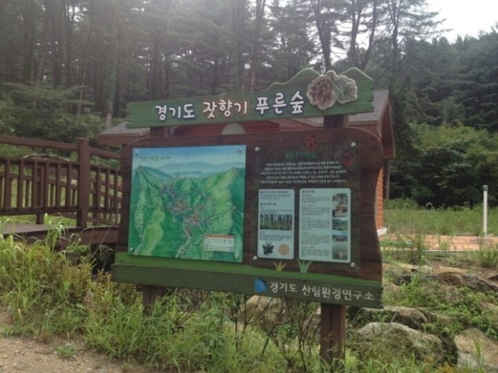 가평잣향기 이미지