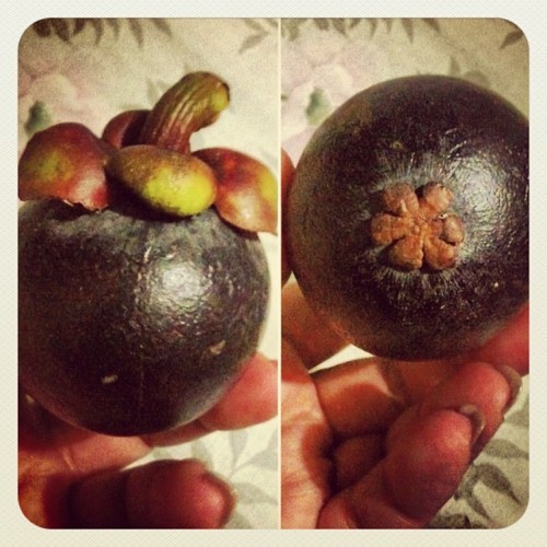  과일의 여왕이라고 불리는 과일.jpg | 인스티즈