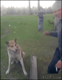 이봐 악수나 한번 하지!.gif | 인스티즈