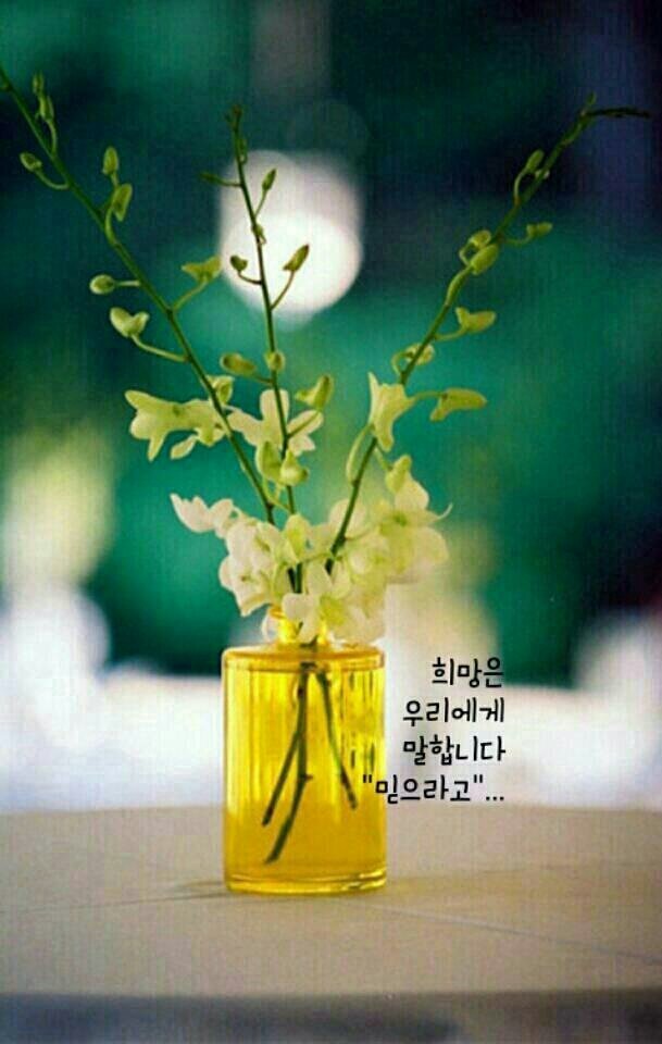 오늘의짐 이미지