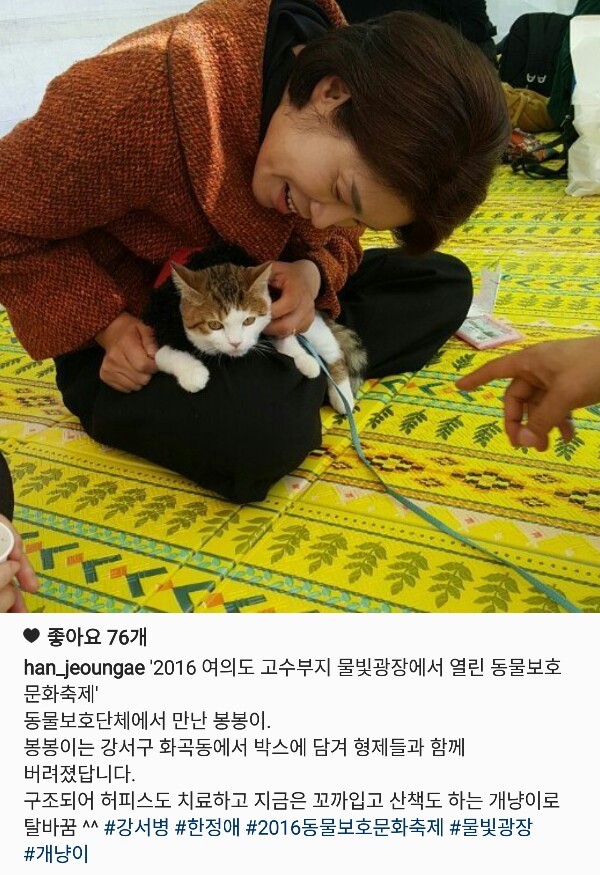 동물 사랑이 느껴지는 더민주 한정애의원님의 캣스타그램 | 인스티즈