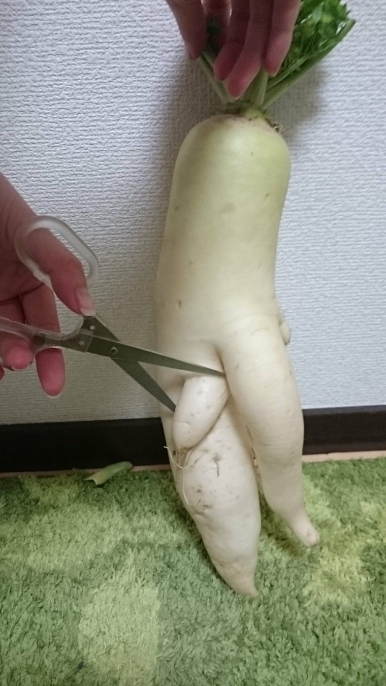 이거 진짜 너무하는거 아닌가요? | 인스티즈