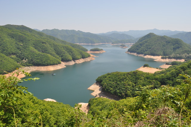 산천초목 이미지