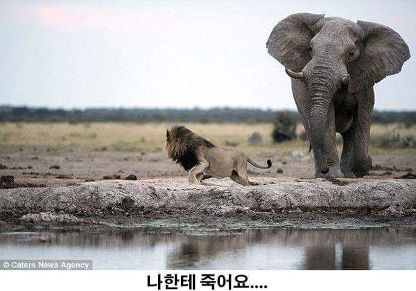 아저씨.. 여기서 잠들면 죽어요... | 인스티즈