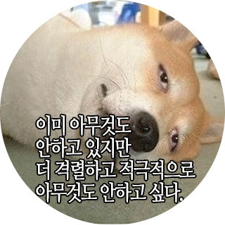 희망밧데리 이미지