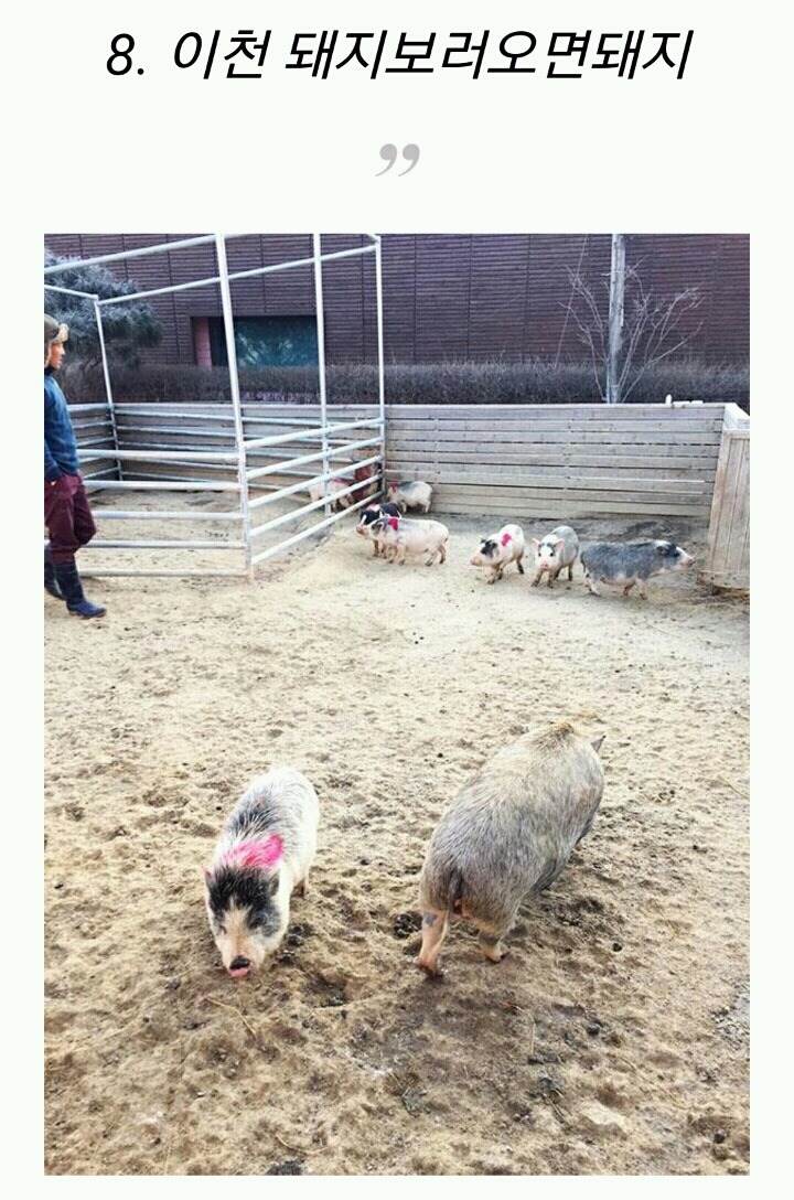 [육아] 아이와 함께 가면 좋은 서울 근교 나들이 | 인스티즈