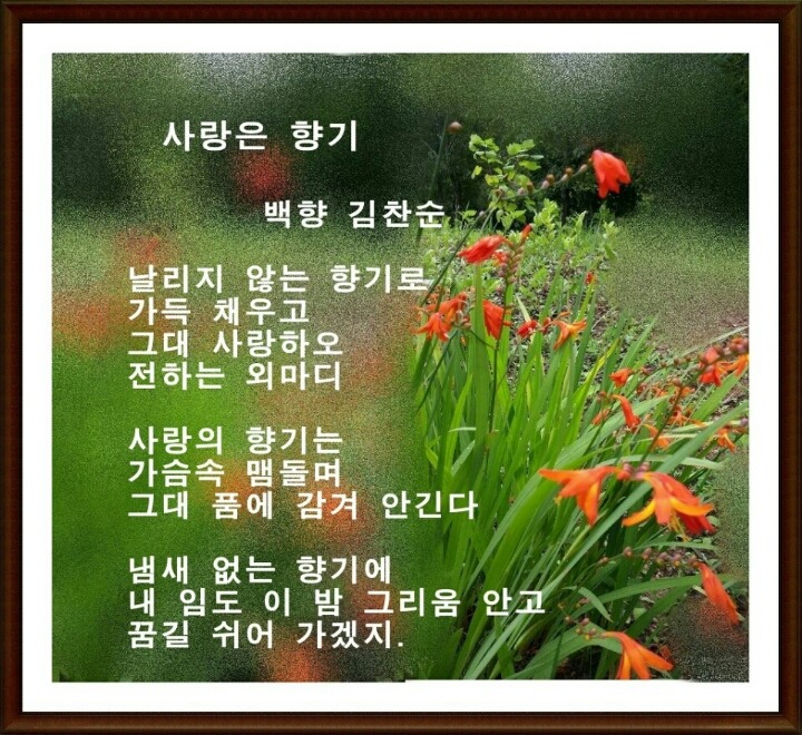 백향 이미지