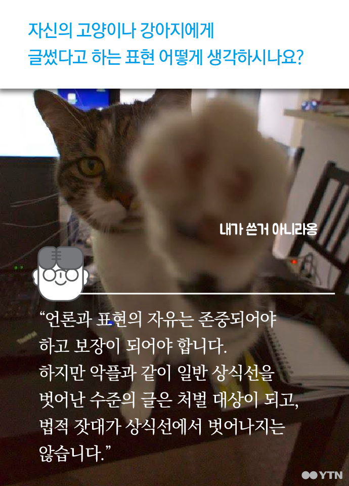 판사님 이 글은 제 고양이가 썼습니다 | 인스티즈