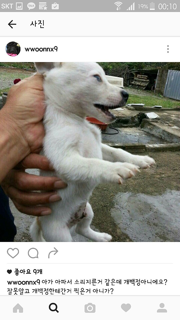 익산유기동물보호소의 공고사진 항의전화나 민원글쓰자(강아지 마음아픈사진있어)! | 인스티즈