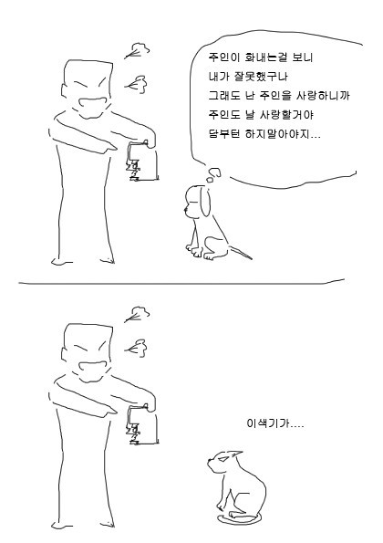 개와 고양이의 차이 | 인스티즈