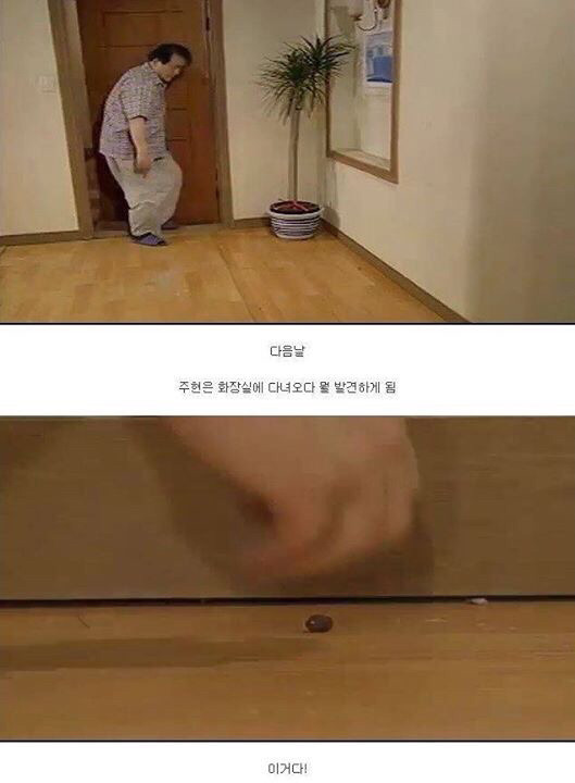 다시보는 레전드 토끼사건 | 인스티즈